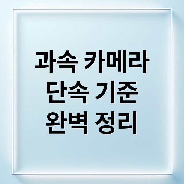 과속 카메라 완벽 정리 2