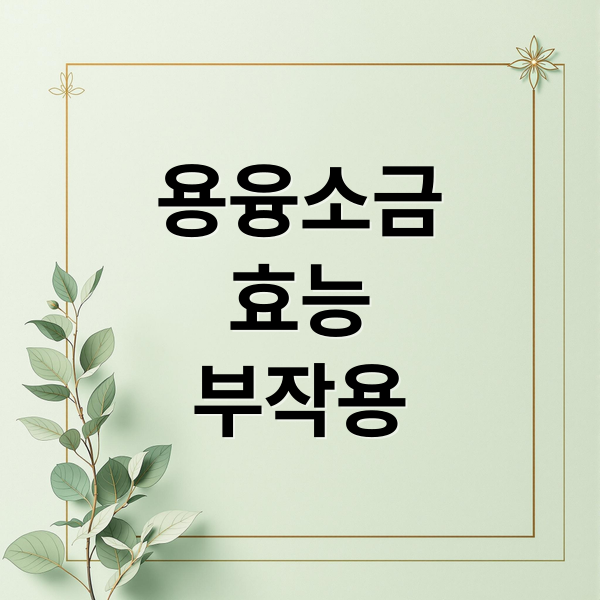 용융소금, 건강하게 즐기는 완벽 가이드! 효능부터 구매 팁까지 2 thumbnail 1756817169445 e90k4i1idd