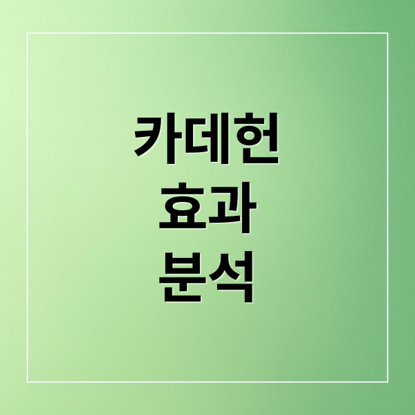 카데헌 효과: K컬처 신드롬과 경제 파급력 분석 2 카데헌
효과
분석 (카데헌 효과)
