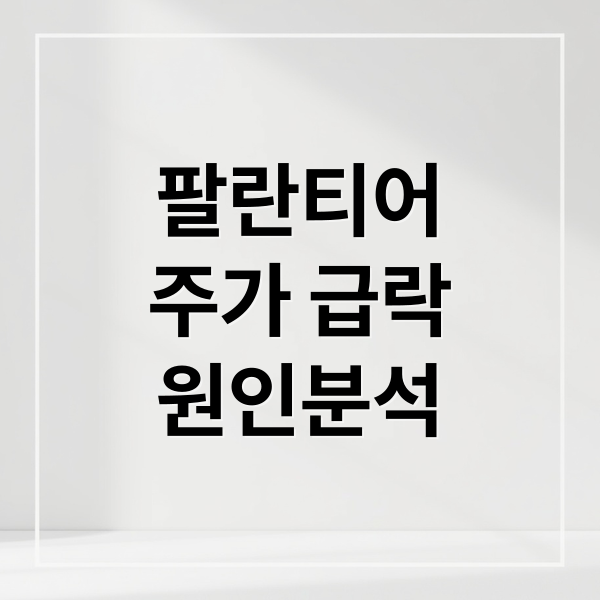 팔란티어 주가 급락 심층 분석 3