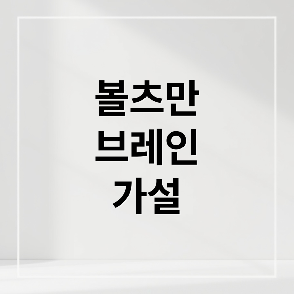 볼츠만 브레인: 우연히 만들어진 뇌? 1
