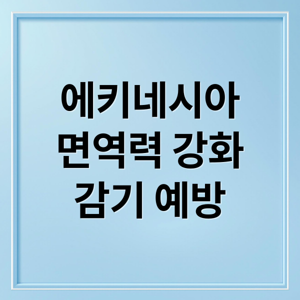 에키네시아 효능 총정리 1 thumbnail 1759875314284 rmsgwa6jgt