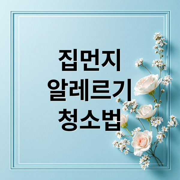 집먼지 알레르기 OUT! 쾌적한 집 만들기 2 thumbnail 1760742228049 jqwu0p4wgk