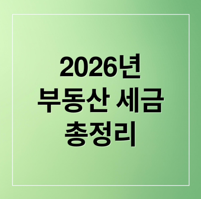 스크린샷 2026 03 01 174047